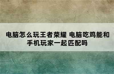 电脑怎么玩王者荣耀 电脑吃鸡能和手机玩家一起匹配吗